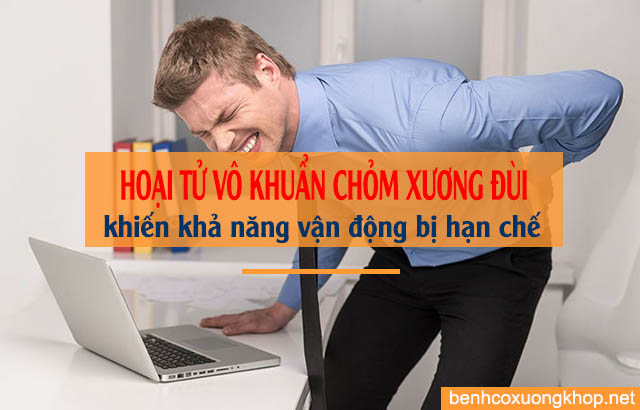 bệnh hoại tử vô khuẩn chỏm xương đùi