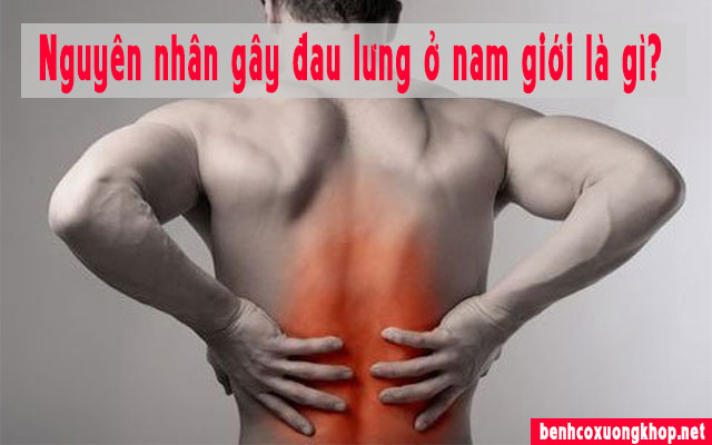 nguyên nhân gây đau lưng ở nam giới