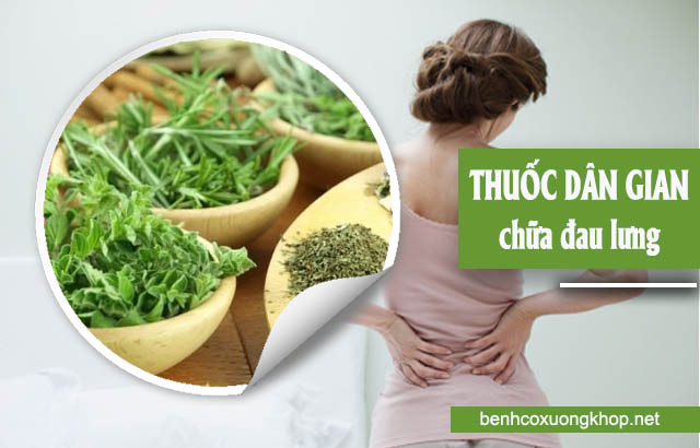 thuốc dân gian chữa đau lưng