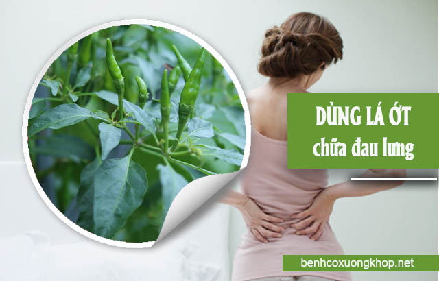 chữa đau lưng bằng thuốc dan gian