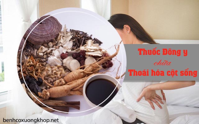 thuốc Đông y chữa thoái hóa cột sống