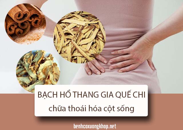 chữa thoái hóa cột sống bằng thuốc Đông y