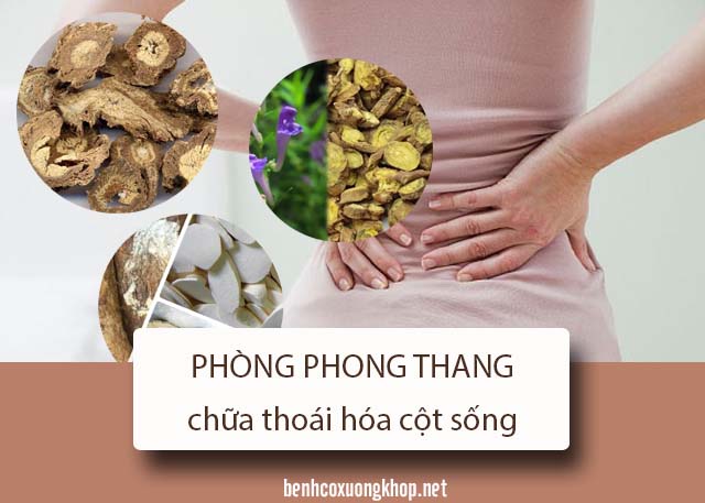 các bài thuốc đông y