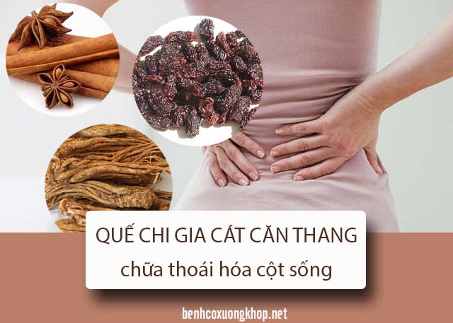 Thuốc Đông y chữa bẹnh thoái hóa cột sống