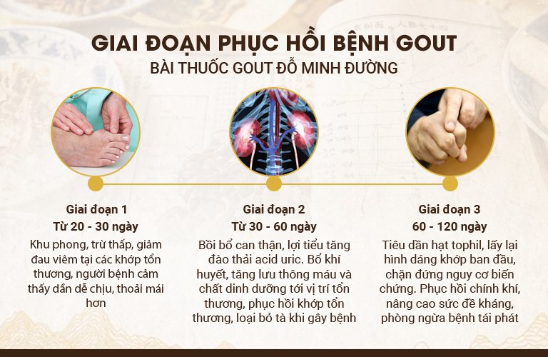 Hiệu quả bài thuốc Gout Đỗ Minh qua từng giai đoạn điều trị