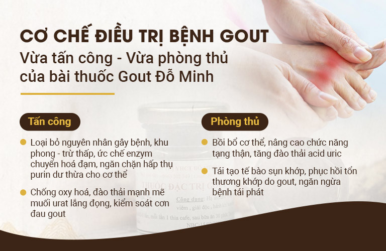 Hiệu quả bài thuốc Gout Đỗ Minh