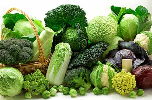 Bị đau khớp gối nên ăn nhiều rau xanh
