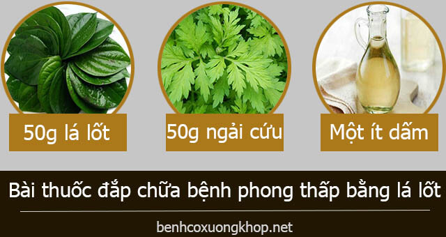 Điều trị phong thấp bằng lá lốt