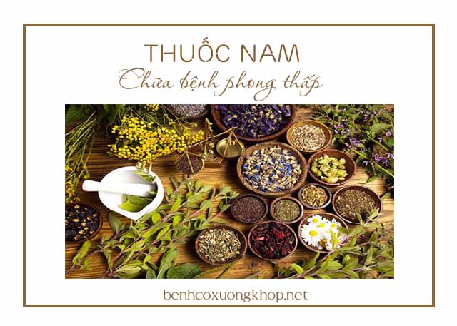 thuốc nam trị phong thấp