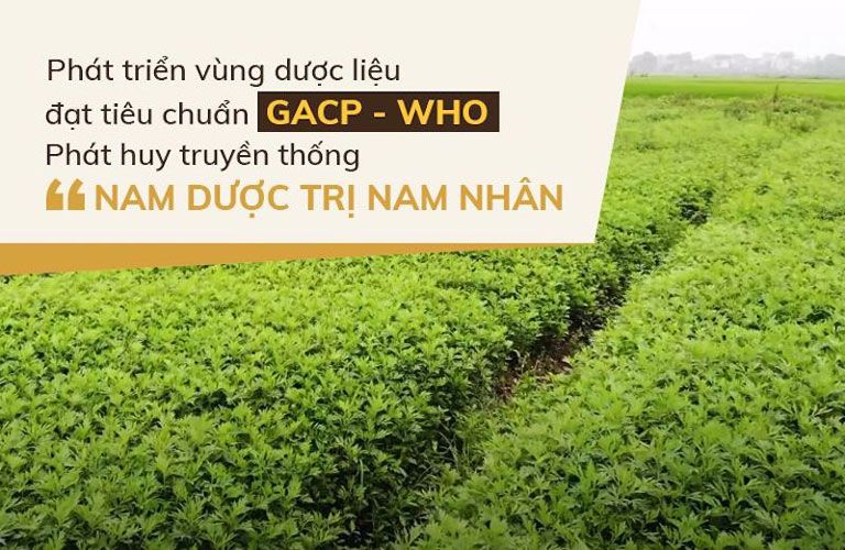 Dược liệu sạch Đỗ Minh Đường