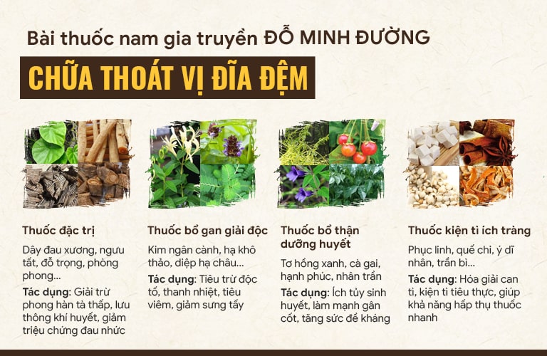 Thành phần, công dụng của Đỗ Minh thoát vị thang