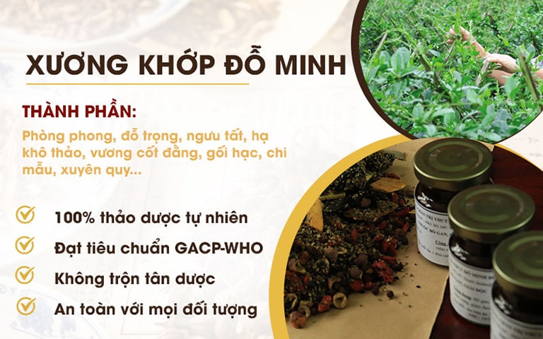 Thành phần và công dụng của bài thuốc Xương khớp Đỗ Minh